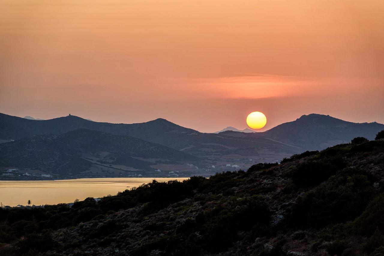 Paros Villa Blue Senses Aliki  Exterior photo